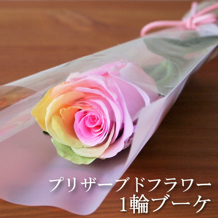 レインボー プリザーブドフラワー 1輪ブーケ 薔薇 大きい 大輪 誕生日 発表会 プレゼント プロポーズ お祝い 一本のバラ 結婚祝い 開店祝い 新築祝い ギフト 記念 レインボーローズ パステル 卒業式 イベント 1本 花 一輪 結婚式 プチギフト