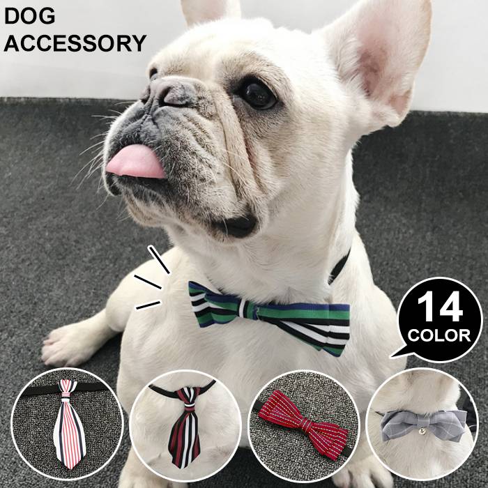 犬用蝶ネクタイ｜結婚式のお呼ばれに！おしゃれなペット用ネクタイのおすすめは？
