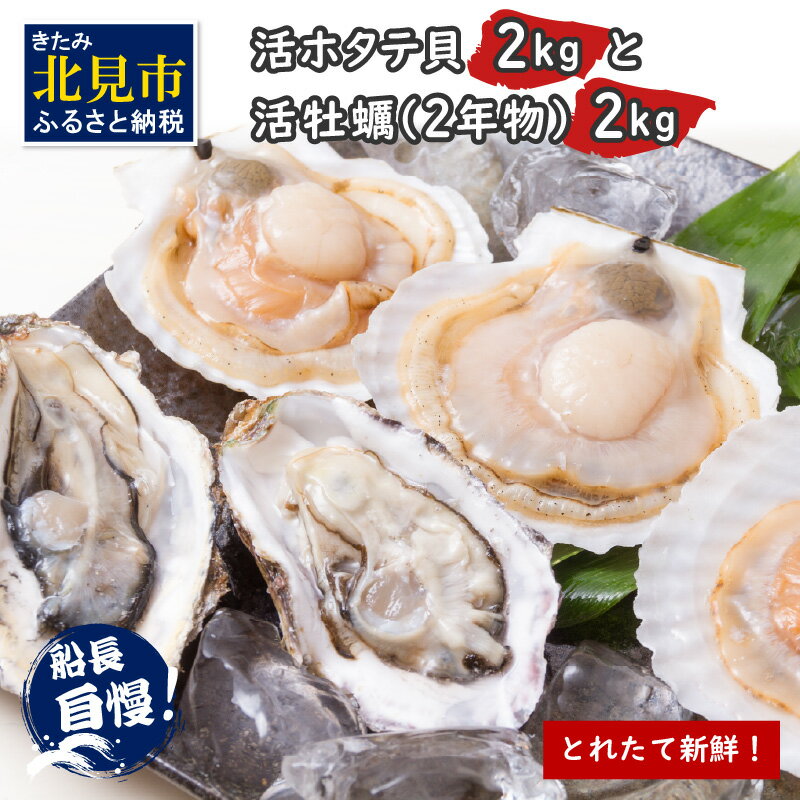 [予約:2025年10月中旬から順次発送]とれたて新鮮!活ホタテ貝2kgと活牡蠣2年物2kg ( 海鮮 魚介 貝 帆立 ほたて ホタテ カキ かき 牡蠣 セット BBQ )