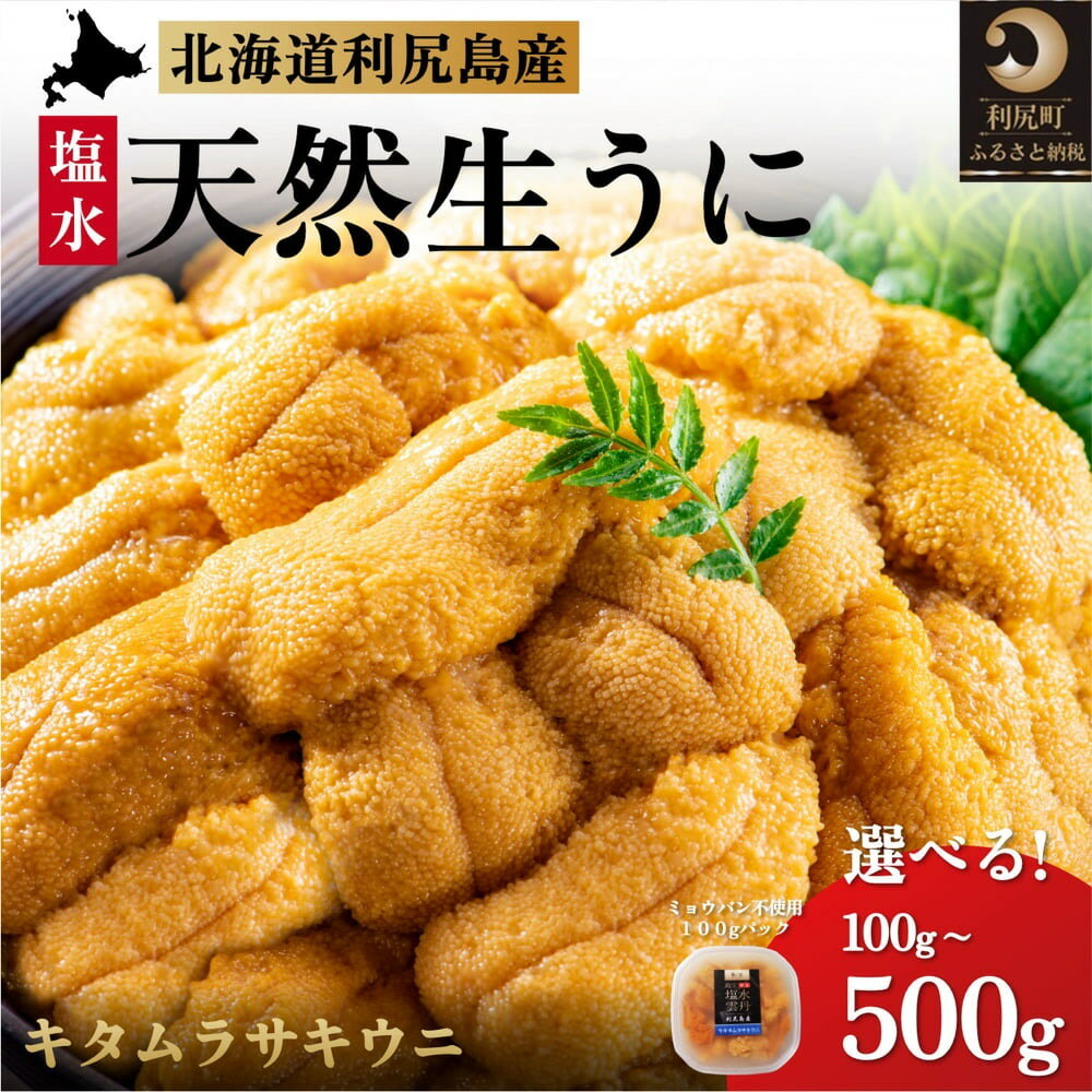 ◆2025年発送予約◆ 利尻島産 キタムラサキウニ 選べる100g〜500g(1パック100g)ミョウバン不使用 刺身 朝どれ 生うに ウニ うに 雲丹 天然 uni 新鮮 海の幸 海鮮 濃厚 海の幸 贈答 ギフト 北海道 利尻島