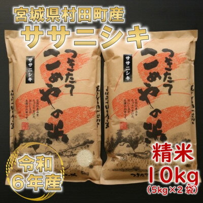 令和6年産 ササニシキ 精米10kg(5kg×2) 宮城県村田町産