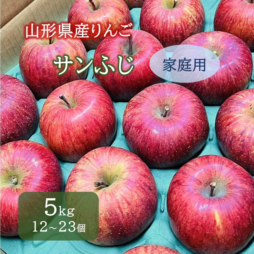 りんご ( サンふじ ) 5kg 12〜23個 ご家庭用 果物 フルーツ 産地直送 送料無料 山形県 上山市