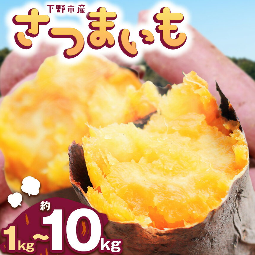 [先行予約]下野市産さつまいも 選べる内容用1〜10kg | さつまいも 芋 さつまいもご飯 炊き込みご飯 スイートポテト 大学芋 栗きんとん 秋 さつまいも 秋の味覚 栃木県 下野市 しもつけ市