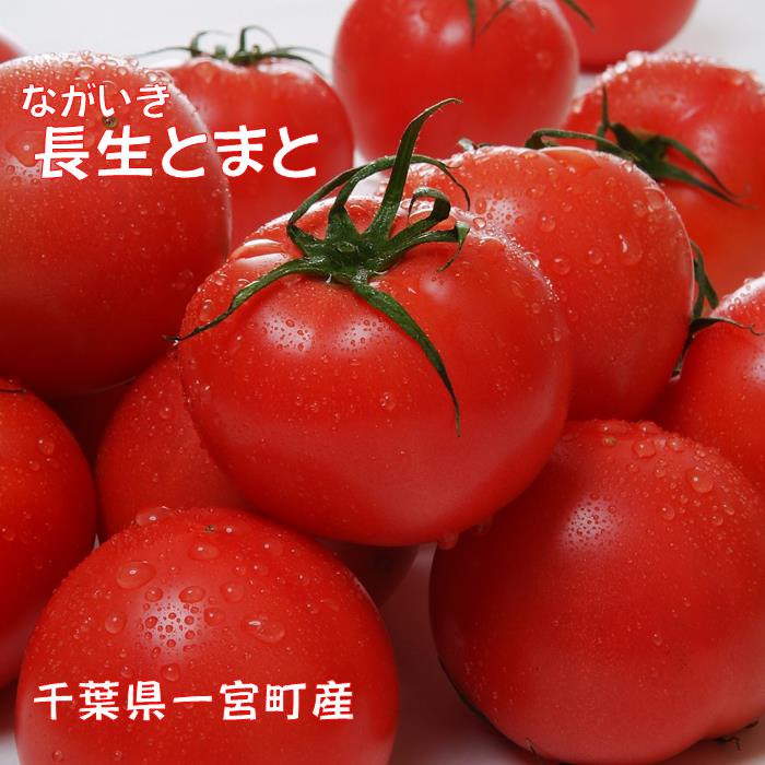 とまと 1箱(20〜24個(約4kg)) トマト 千葉県 長生トマト 4kg