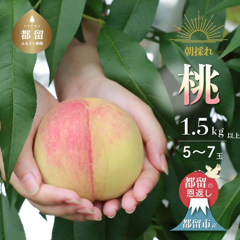 https://thumbnail.image.rakuten.co.jp/@0_mall/f192040-tsuru/cabinet/itemimage/08368753/imgrc0141431773.jpg