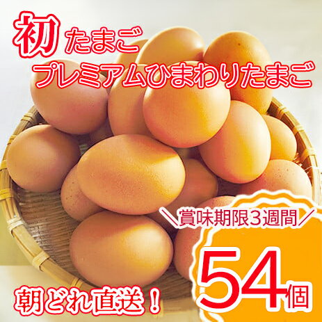 ＼2-5日以内発送/初たまご プレミアムひまわりたまご54個程度※破卵補償 卵 たまご 鶏卵 玉子 大容量 たまごかけご飯 たまごかけごはん 最短 濃厚