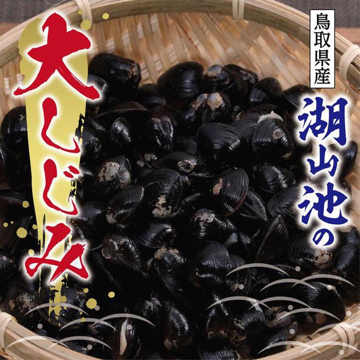湖山池の大しじみ | 鳥取 シジミ 送料無料