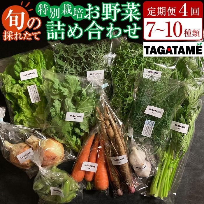[定期便全4回]旬の採れたて 7〜10種類お野菜詰め合わせセット TAGATAME タガタメ[野菜 特別栽培 有機野菜 農薬不使用 無農薬]