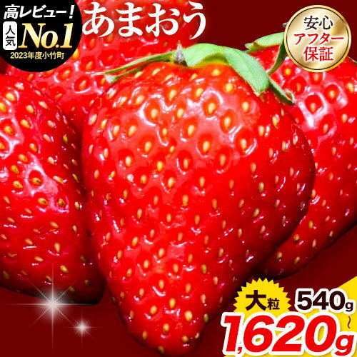 [TVで紹介されました!]＼2026年予約返礼品/いちご あまおう 苺 選べる内容量 540g 1080g1620g 選べる 定期便 内容量 苺 送料無料 [着日指定不可][2月中旬-4月末頃出荷] イチゴ 果物 フルーツ 福岡県 鞍手郡 小竹町