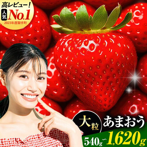 ★2026年出荷の先行予約★いちご あまおう 先行予約 いちご大量 540g 1080g 1620g ふるさと納税 フルーツ 苺 旬 訳あり 数量限定 ふるさと納税 不揃い 傷 4月 規格外 規格外果物 くだもの 果物 [着日指定不可][2月中旬-4月末頃出荷]