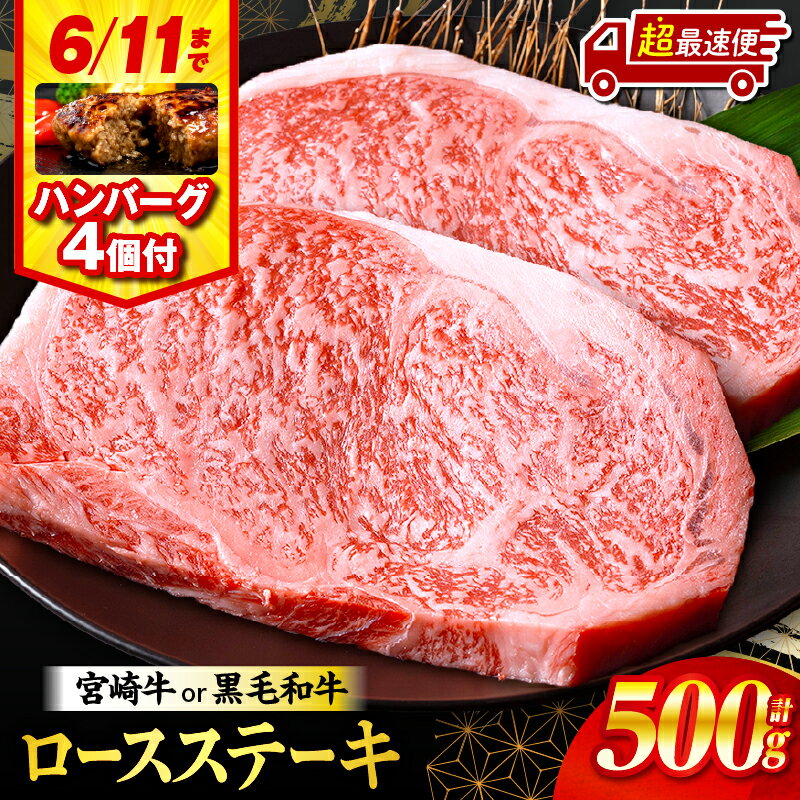 総合ランキング1位[父の日までにお届け][発送時期が選べる][期間・数量限定]畜産農家応援!宮崎牛or黒毛和牛ロースステーキ250g×2・国産牛ハンバーグ100g×4個 宮崎牛 黒毛和牛 肉 牛肉 ロースステーキ ロース ステーキ 焼肉 宮崎牛ステーキ 国産