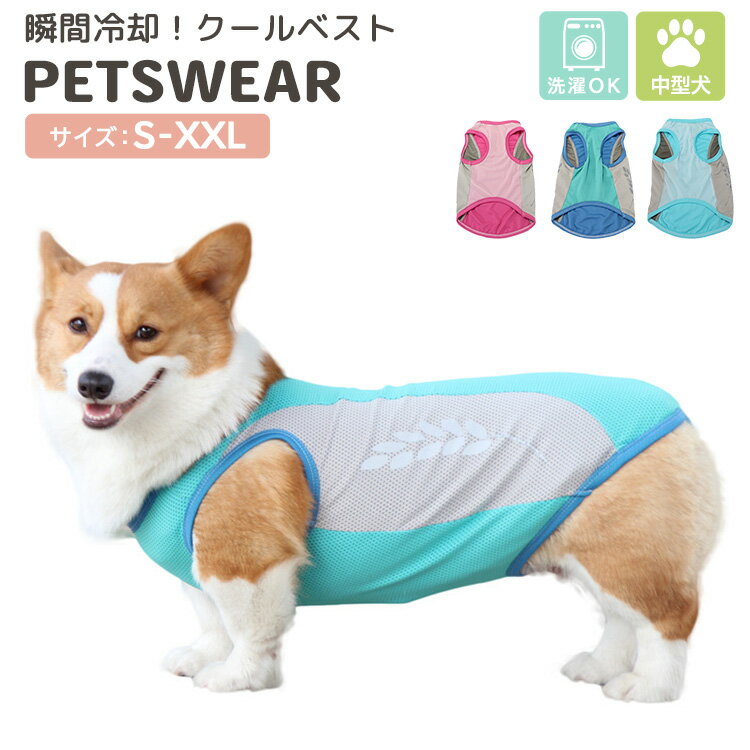 犬の暑さ対策グッズ｜夏バテしちゃうワンちゃんを救うグッズのおすすめは？