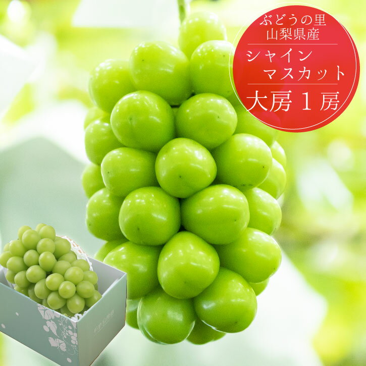 【山梨ぶどう】旬で食べごろの美味しい品種などおすすめを教えて！