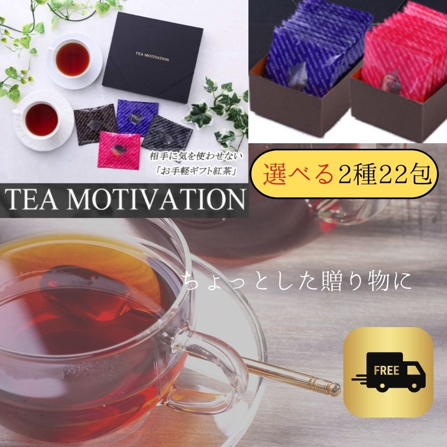 センスのいい紅茶 TEA MOTIVATION 紅茶 ティーバッグ 選べる2種アソート22包入 タチバナ産業 アールグレイ ダージリン アッサム ももりんご お礼 手土産 挨拶 ギフト包装・手提袋付 ホワイトデー 母の日 送料無料