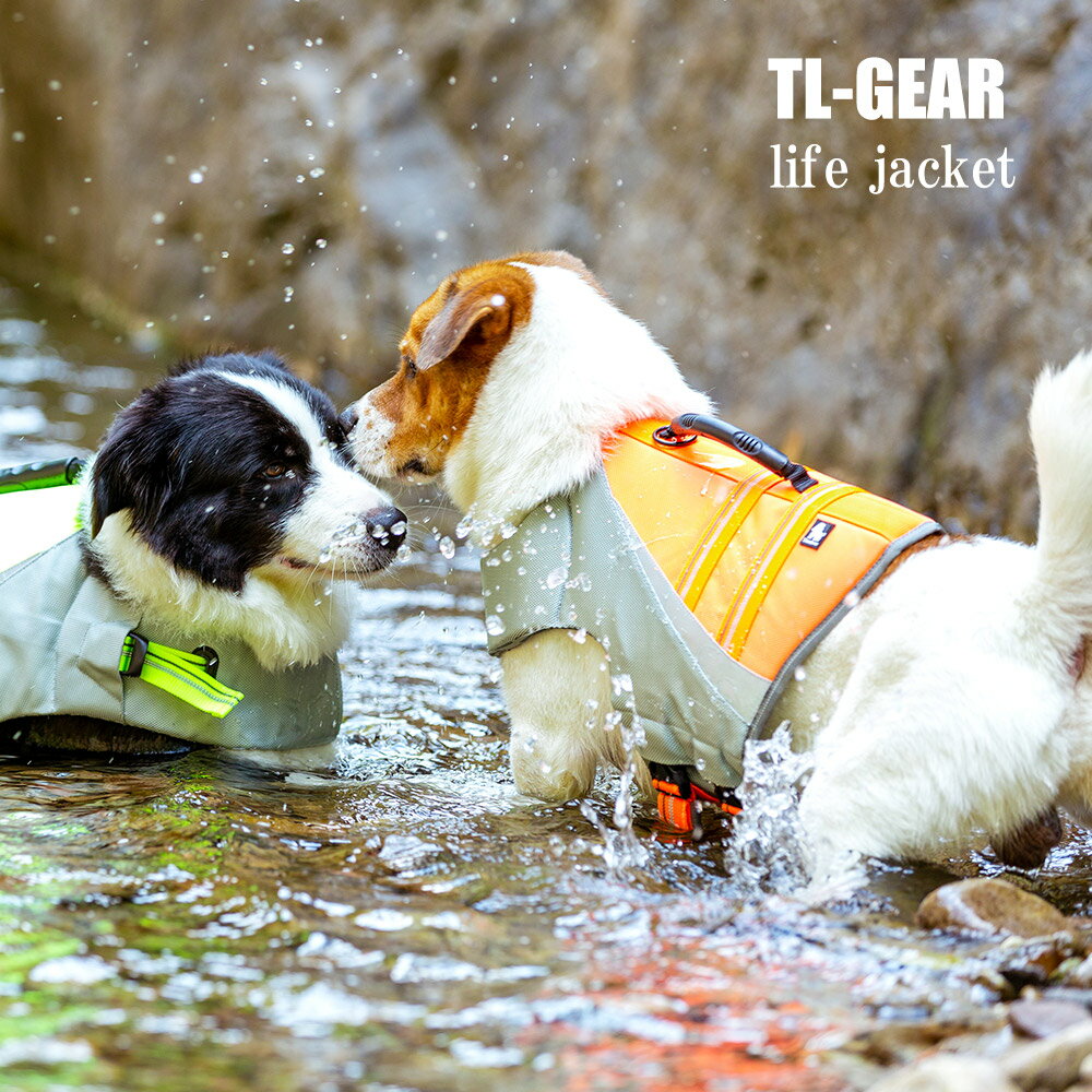 犬用ライフジャケット｜大型犬用救命胴衣！安全に水遊びできる犬用浮き輪のおすすめは？