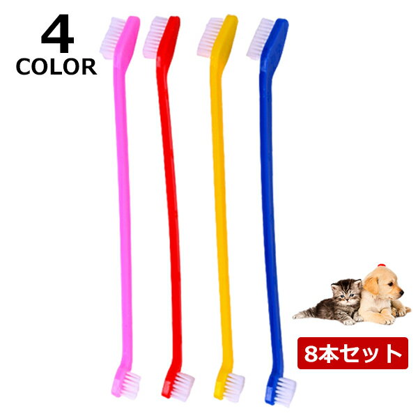 小型犬用歯ブラシ｜小さな犬でも磨きやすい人気歯ブラシのおすすめは？